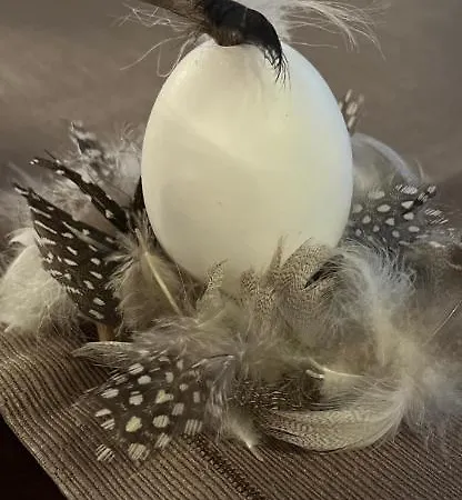 Hotel Garni Degli Angioli Ascona