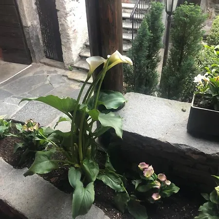 Garni Degli Angioli Szálloda Ascona