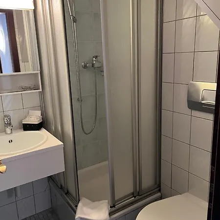 Hotel Garni Degli Angioli Ascona