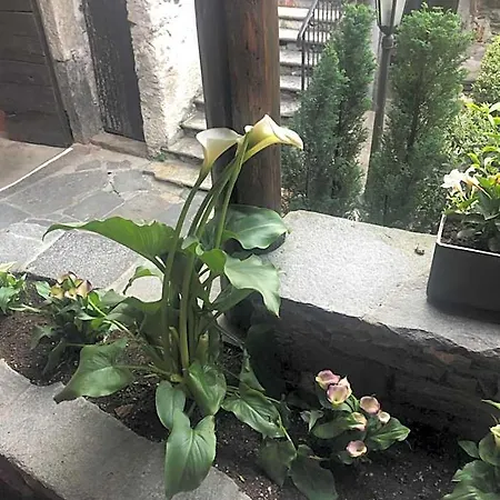 Garni Degli Angioli 아스꼬나
