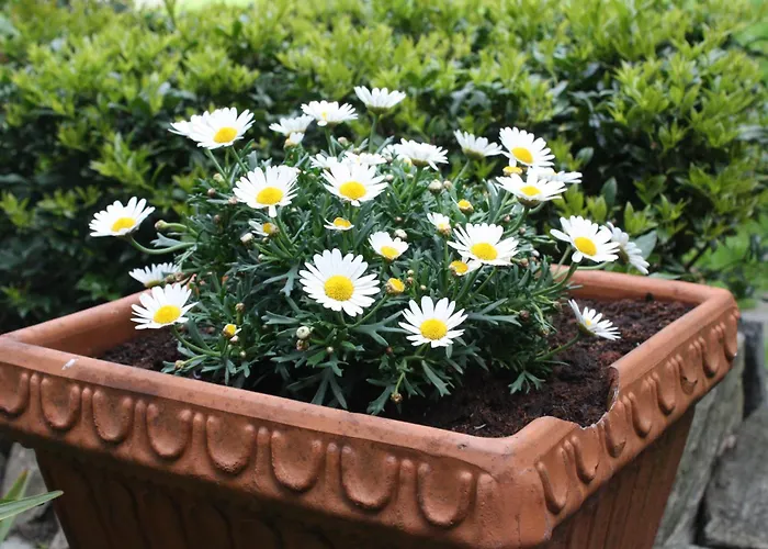 Hotel Garni Degli Angioli *