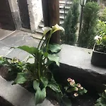 Garni Degli Angioli Отель Аскона